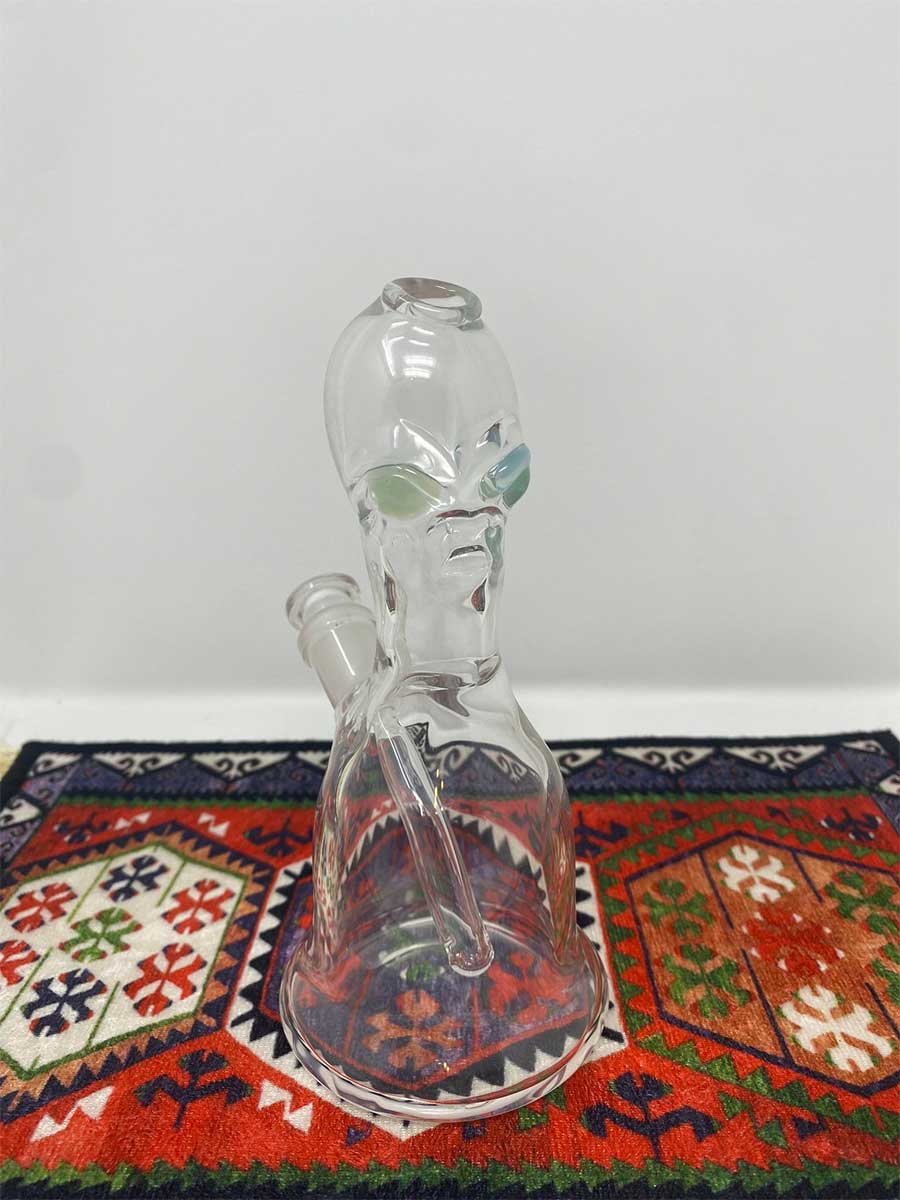 SenOih Glass | Guardian Rig