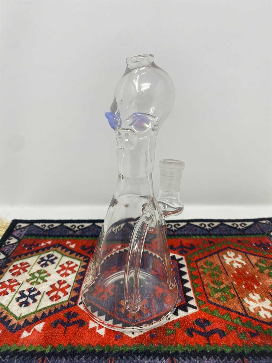 SenOih Glass | Guardian Rig