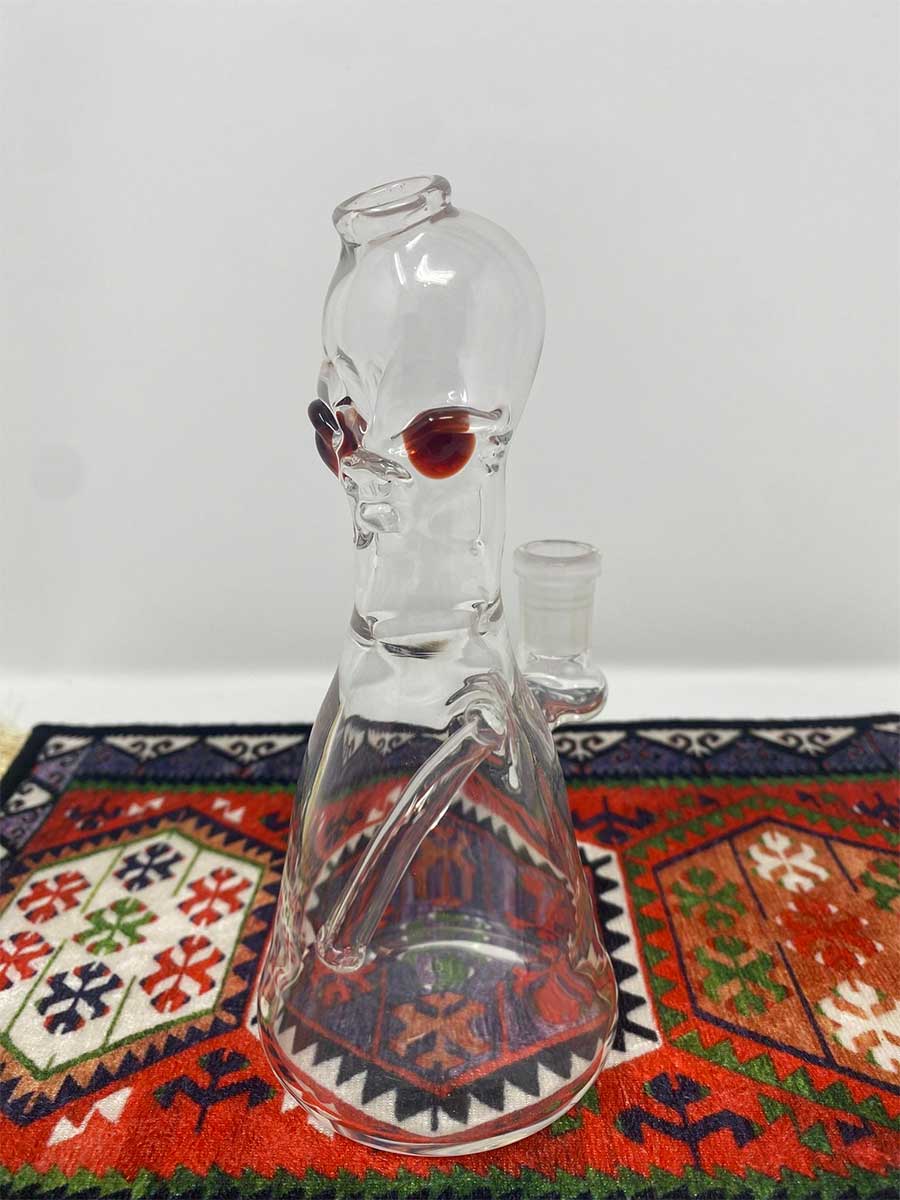 SenOih Glass | Guardian Rig
