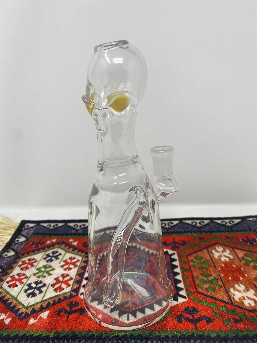 SenOih Glass | Guardian Rig