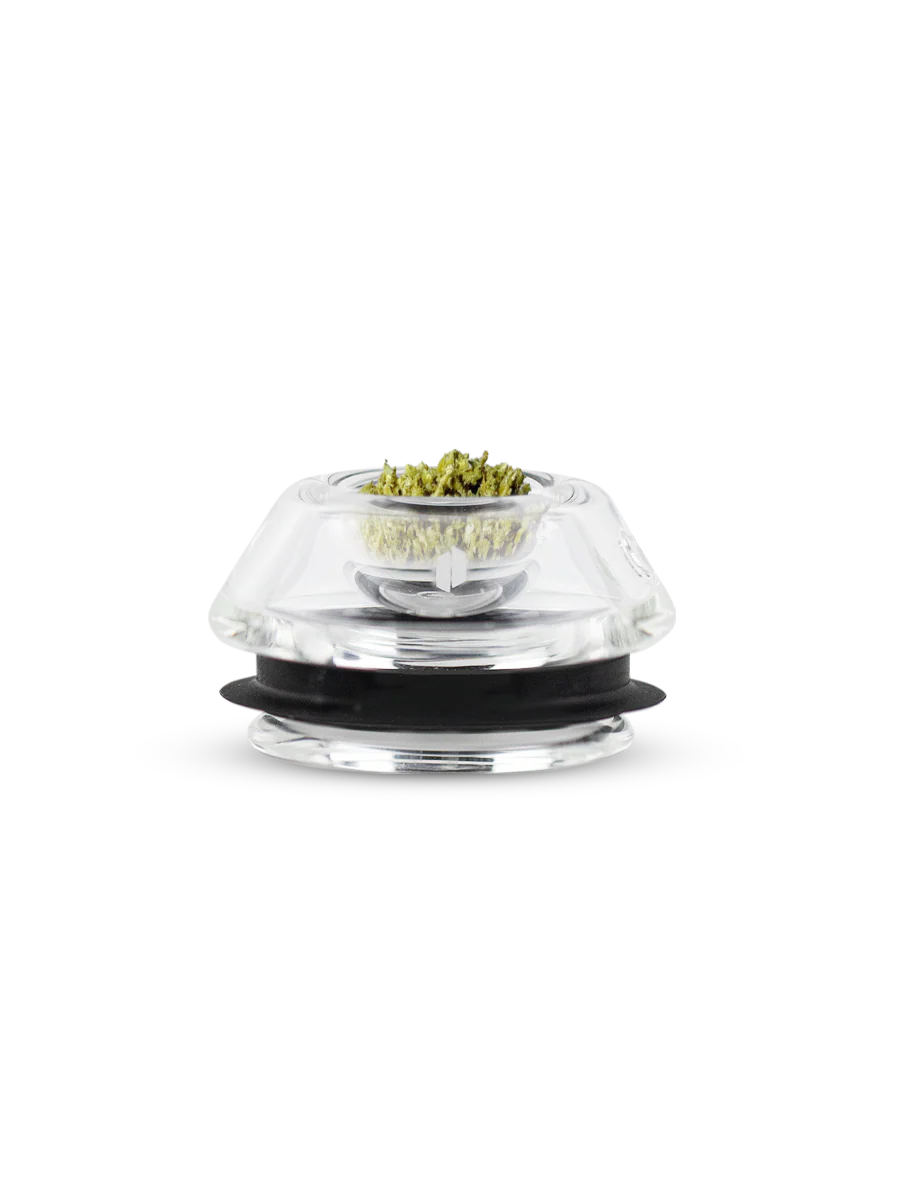 Proxy flower bowl