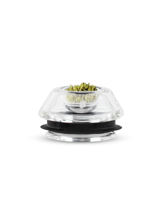Proxy flower bowl